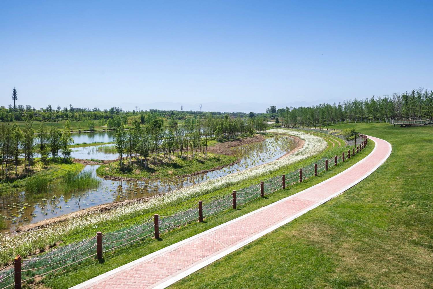深圳大鹏新区东涌红树林湿地园设计（合作） - 媚道设计 规划设计 风景园林 建筑 水土保持