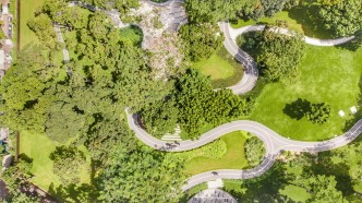 56棵荔枝林的再生 陪伴下一代的故事：中康社区再生理想公园