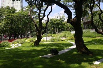 56棵荔枝林的再生 陪伴下一代的故事：中康社区再生理想公园/Zhongkang Community Regeneration Ideal Park