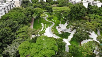 56棵荔枝林的再生 陪伴下一代的故事：中康社区再生理想公园