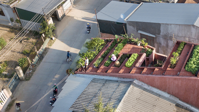 屋顶农场：The Red Roof 