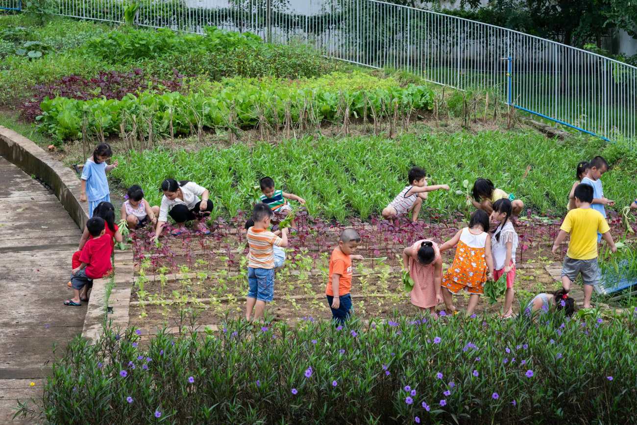 学校荒地里建起了“QQ农场”，广州48所学校获评“5A级校园小农田”_南方plus_南方+
