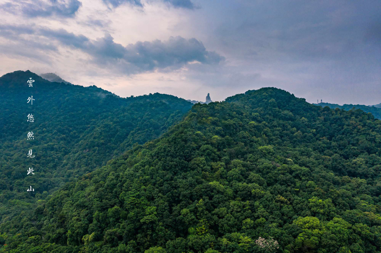 樵坪山风景区,游玩,好耍_大山谷图库