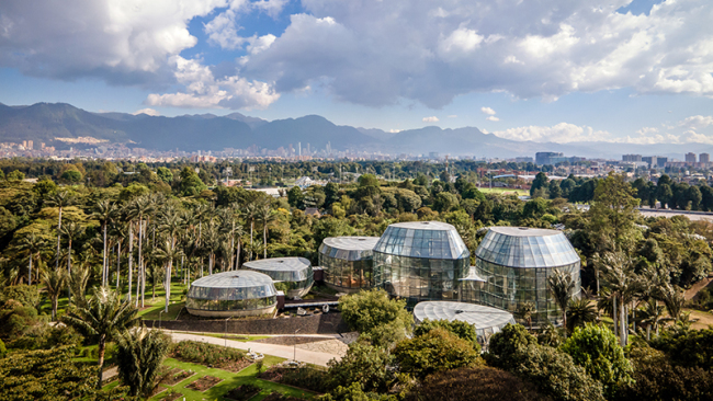 哥伦比亚圣菲波哥大热带植物园