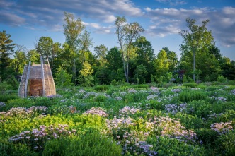 美国·传粉昆虫与鸟类花园/Pollinator and Bird Garden