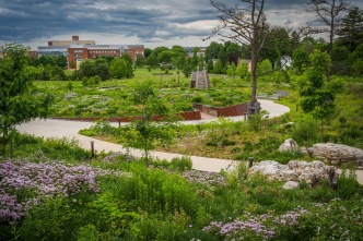 美国·传粉昆虫与鸟类花园/Pollinator and Bird Garden