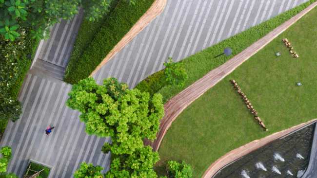 泰国 展开的绿毯 景观设计