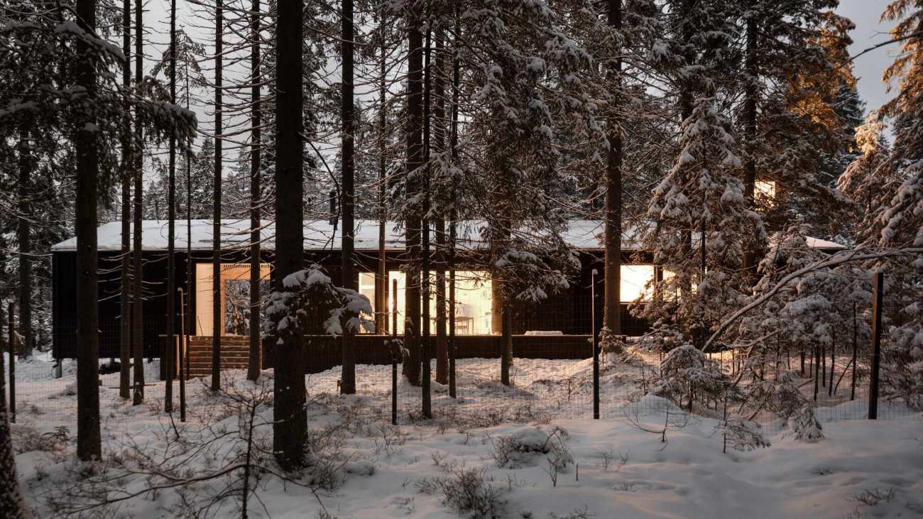 艺术家的森林之屋：俄罗斯 Roschino 住宅