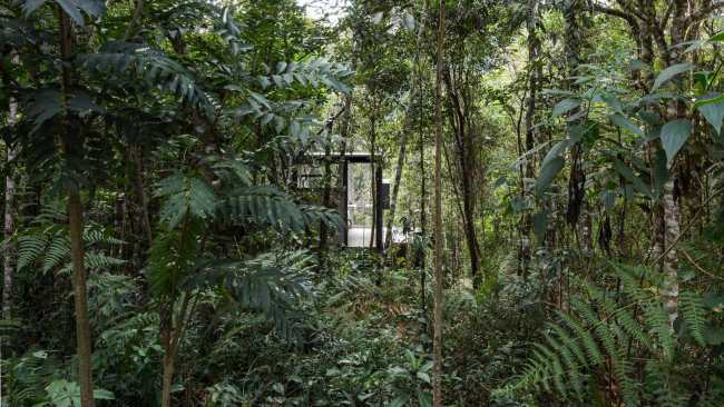 巴西 热带丛林中的“L”小木屋